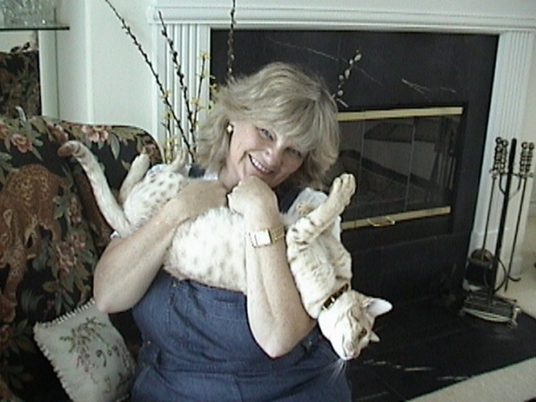 Momma's Baby Ocicat.