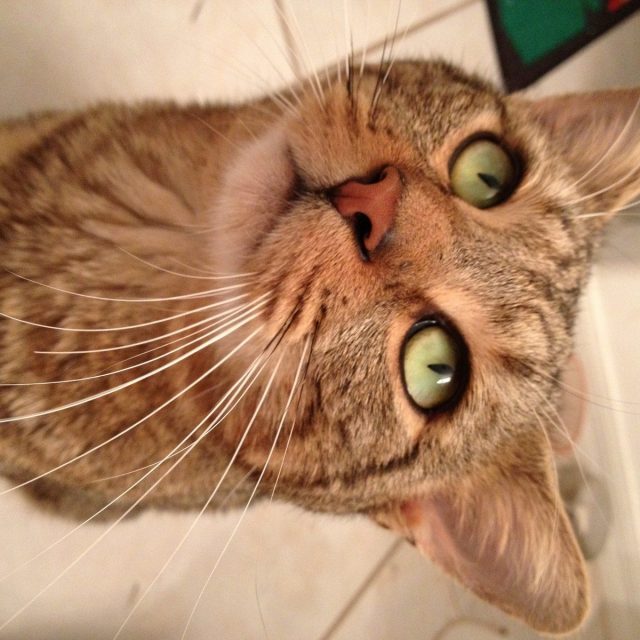 Those Eyes!