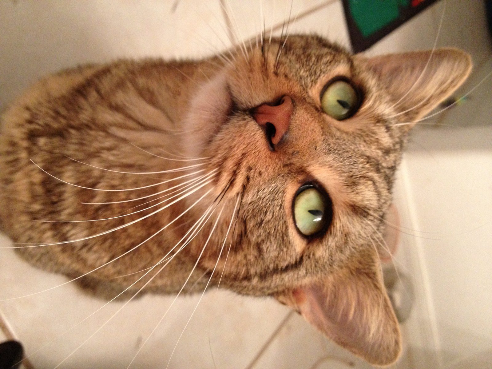 Those Eyes!