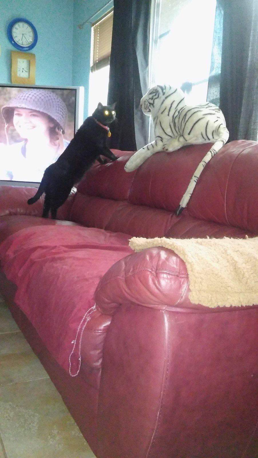 Skynyrd Checking Out New Addition!