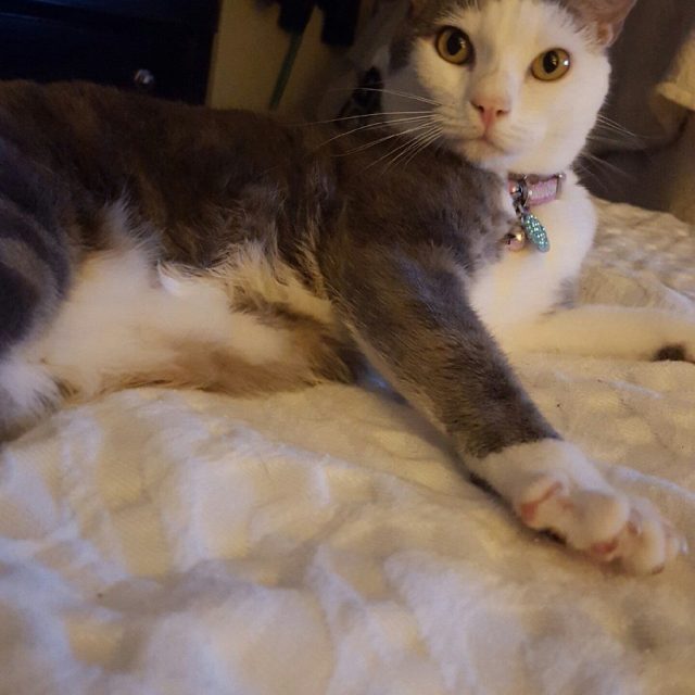 Momma Posing