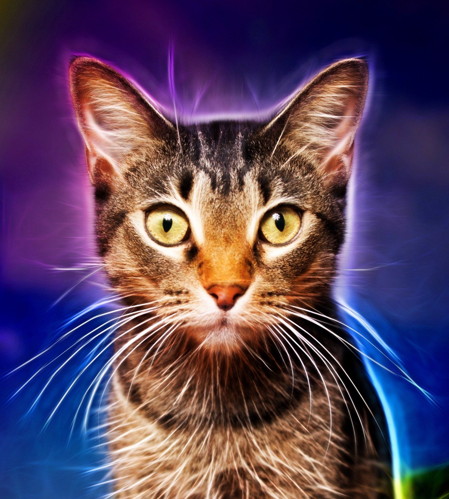 Eletricat!