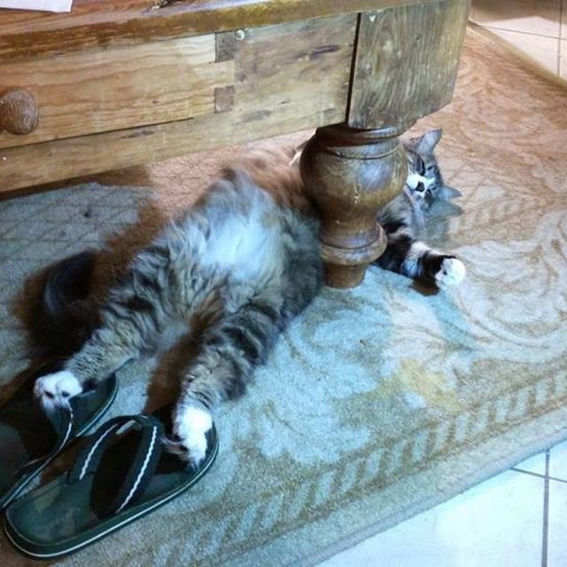 Joshua Sporting His Flip Flops