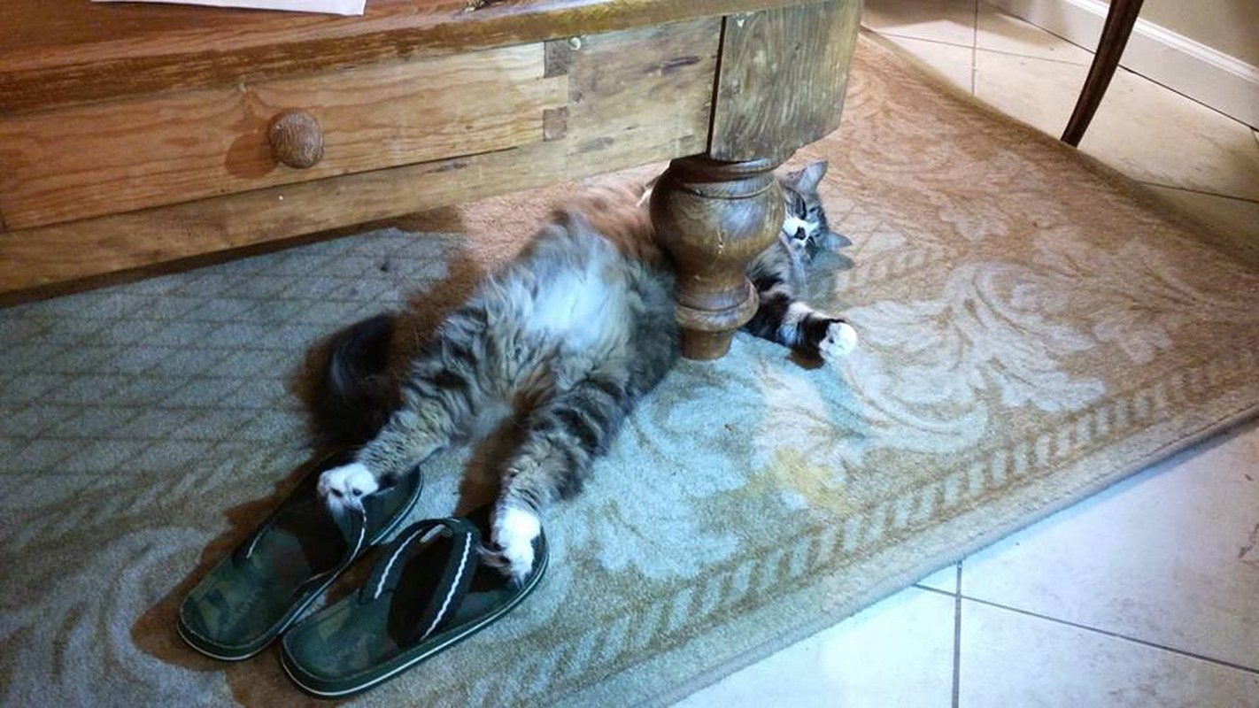 Joshua Sporting His Flip Flops