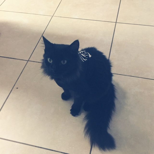 Keke In His Favorite T-shirt