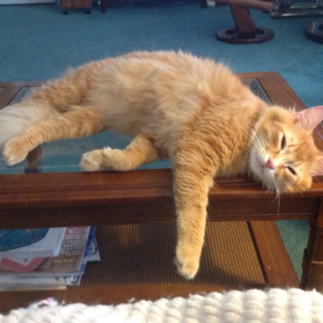 Lenny Just Hanging Around