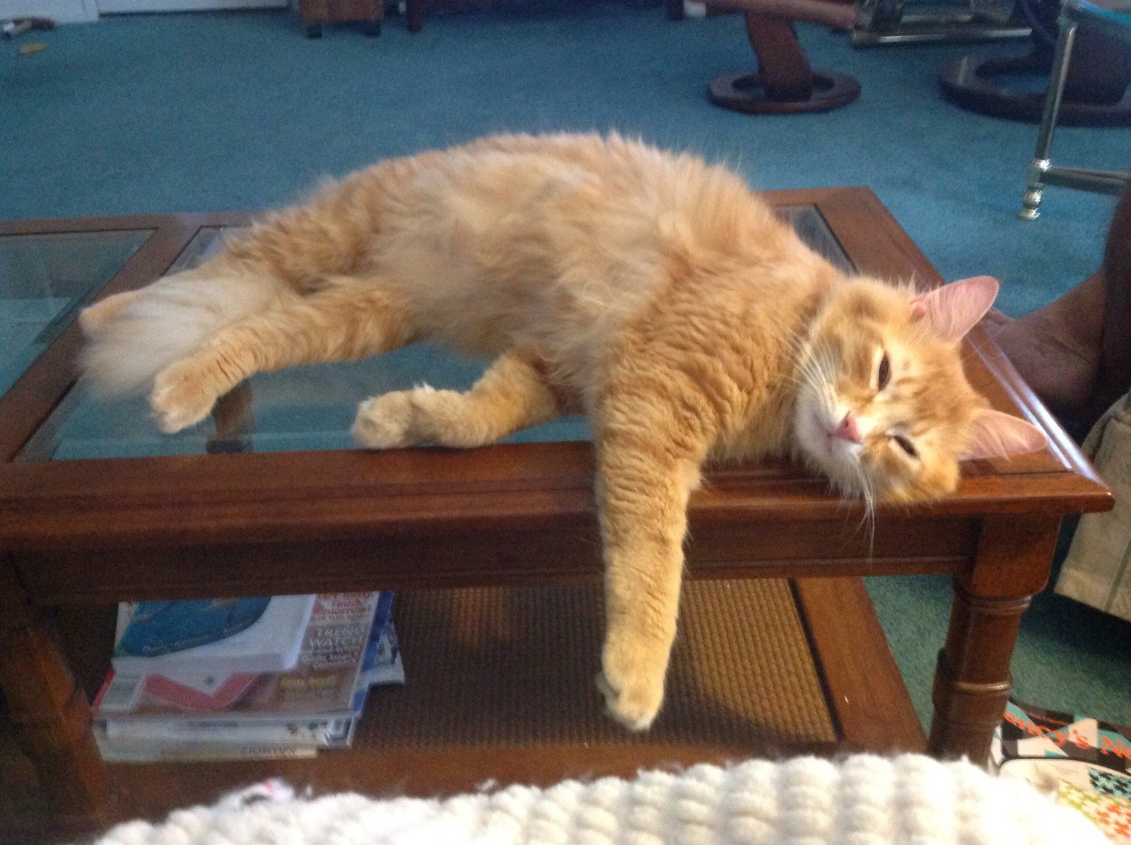 Lenny Just Hanging Around
