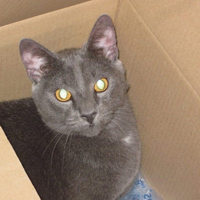 What's In The Box????