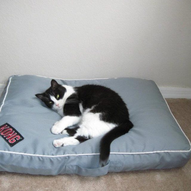 So Comfy.