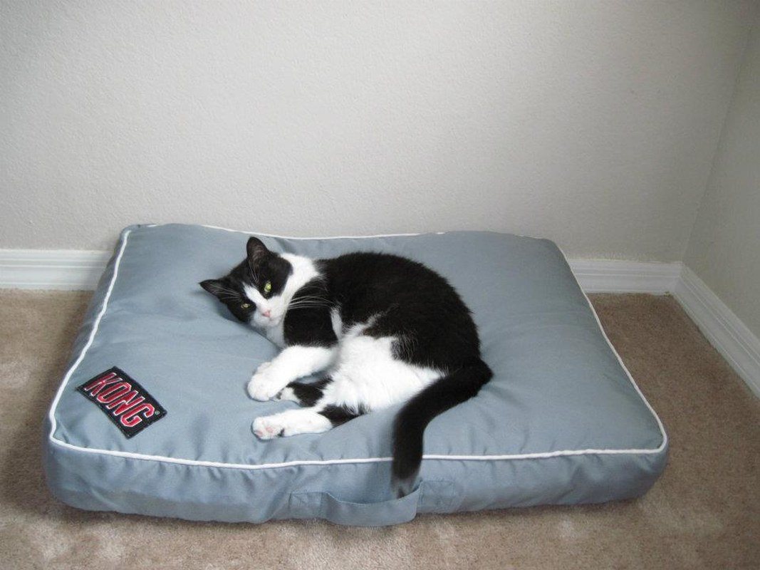 So Comfy.