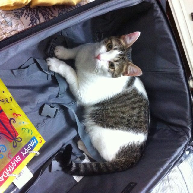 Next Time, I Am Going With You!!