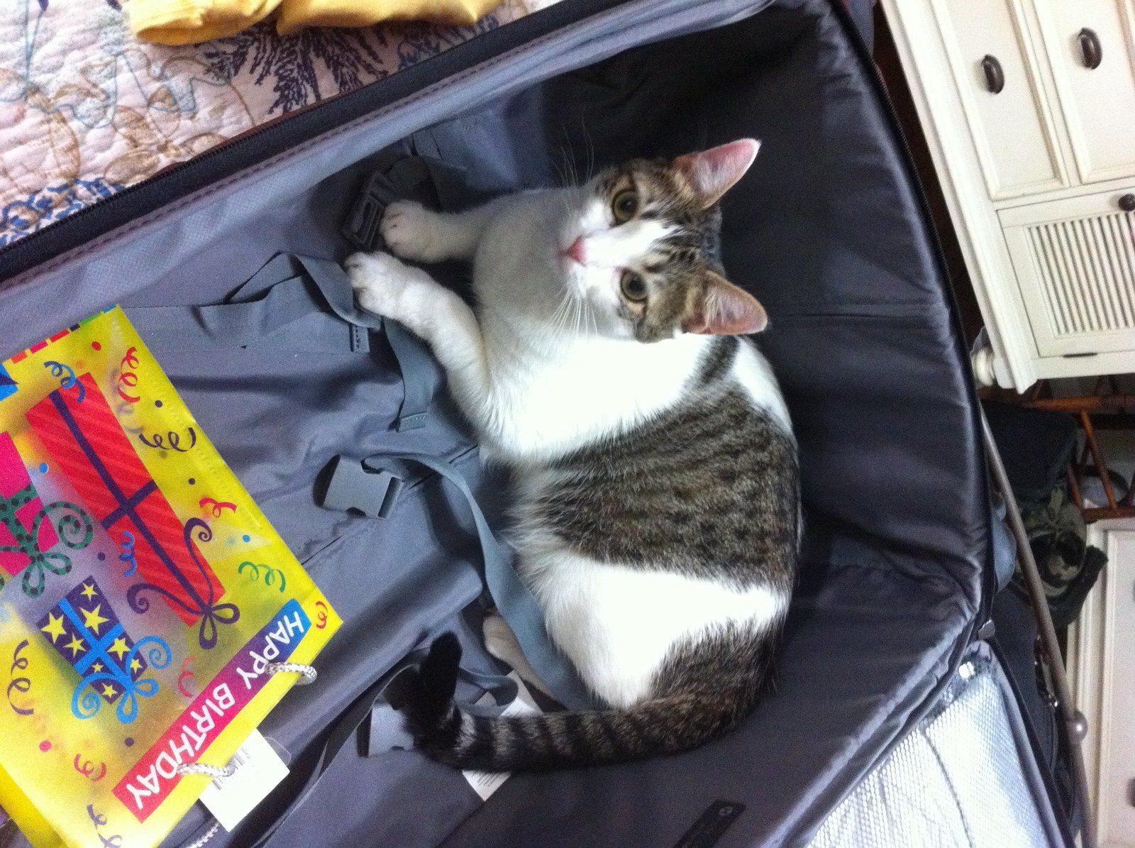 Next Time, I Am Going With You!!