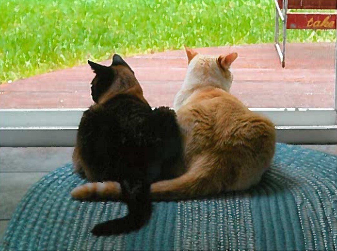 Elvis And Sinatra
