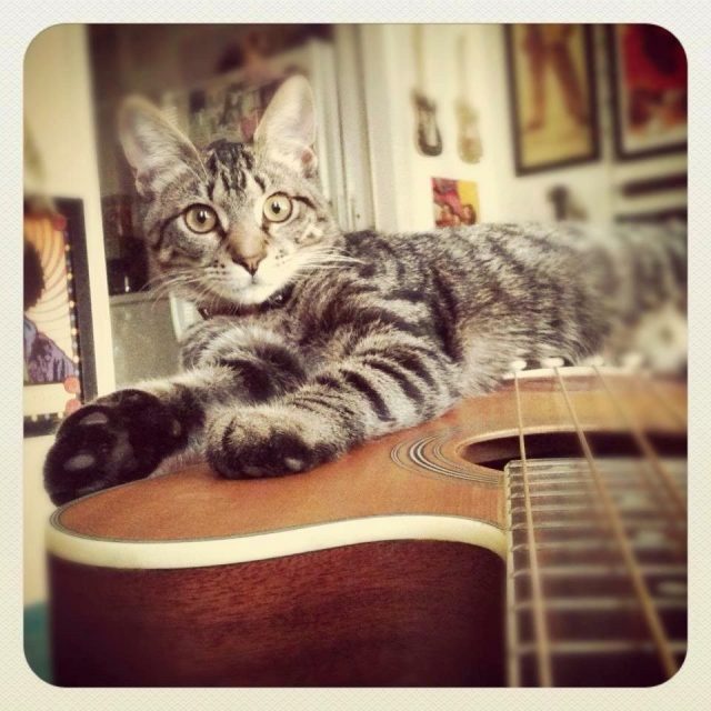 Ziggy Is Feeling The Bass