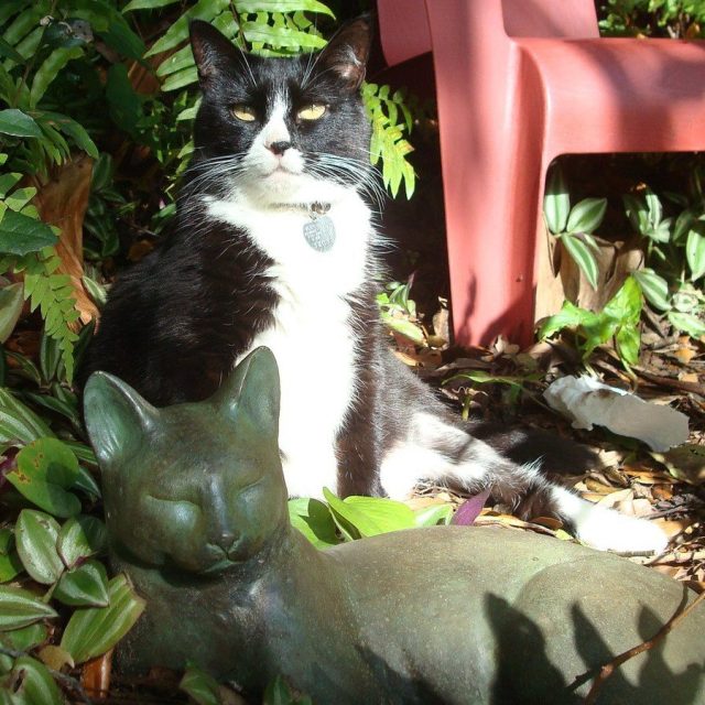 Mitzi And Statue