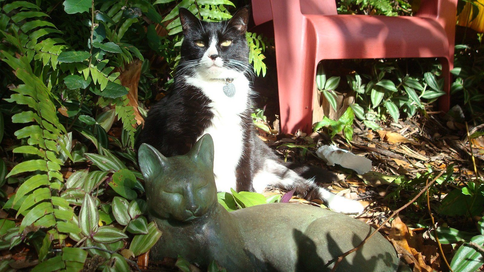 Mitzi And Statue