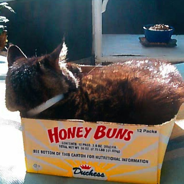 The Honey Buns Are Mine.