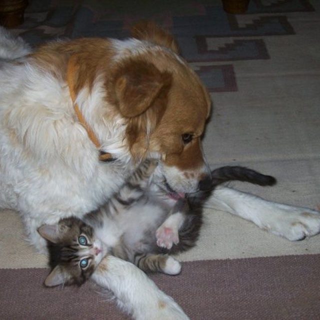 Bath Time!