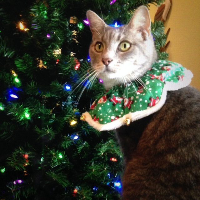 Santa Here Yet?