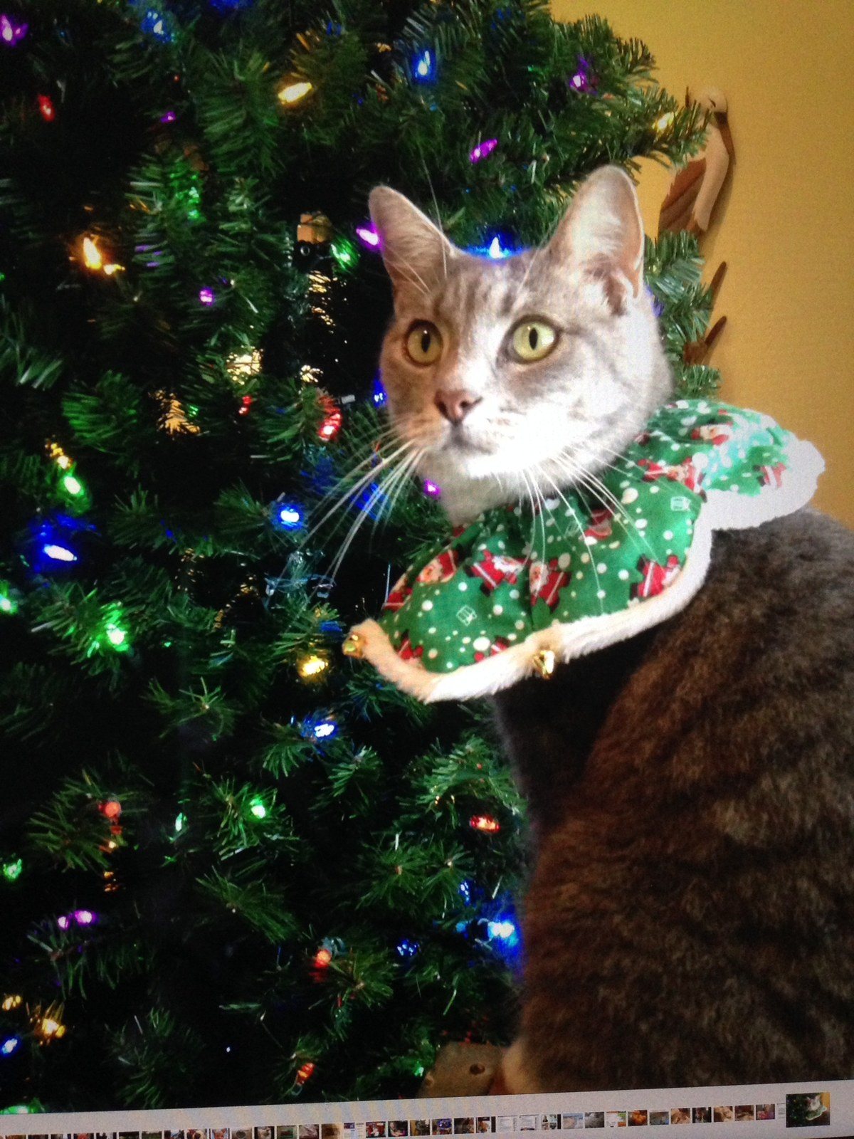Santa Here Yet?