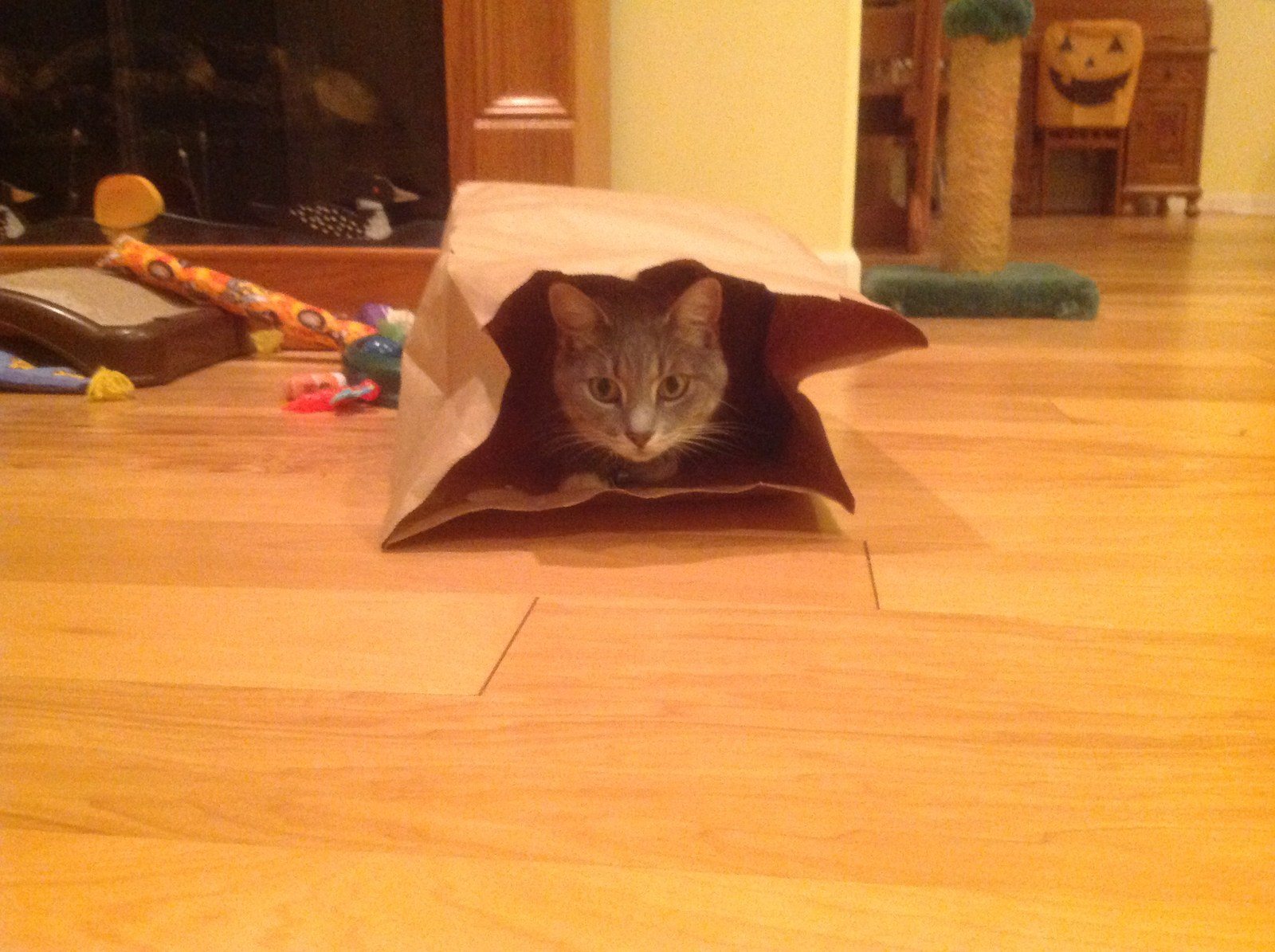 SOX In A Bag!