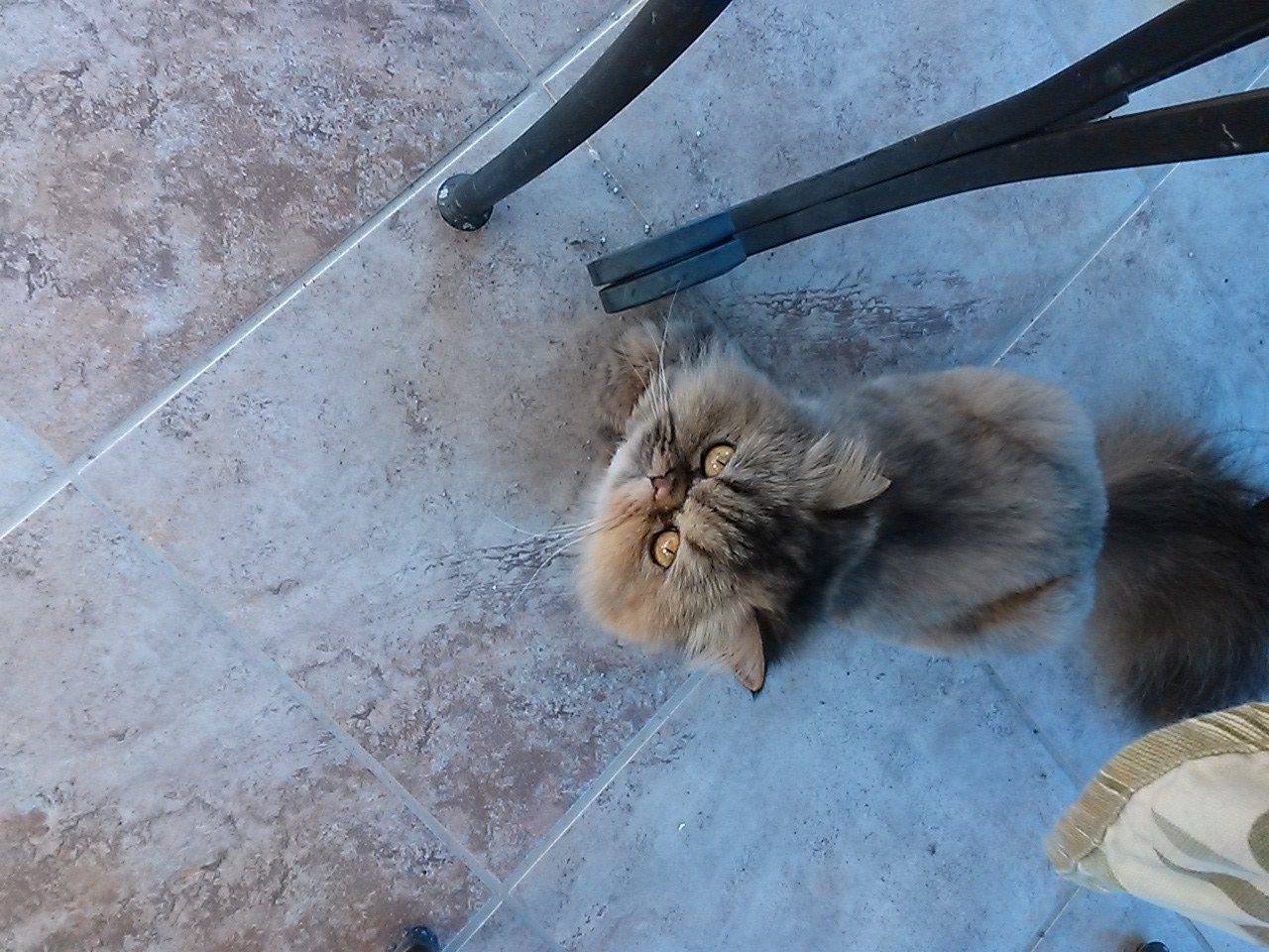 Don't I Look Like An Angel?