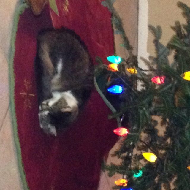 Waiting For Santa