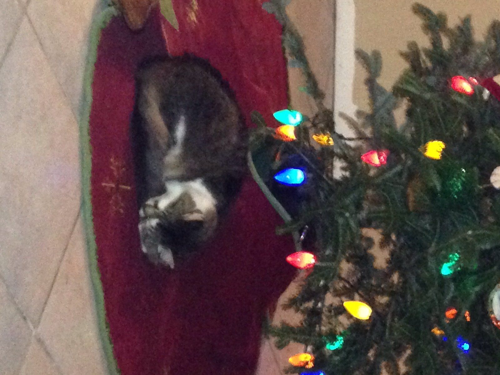 Waiting For Santa