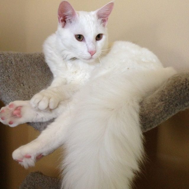My Handsome Guy Ty!