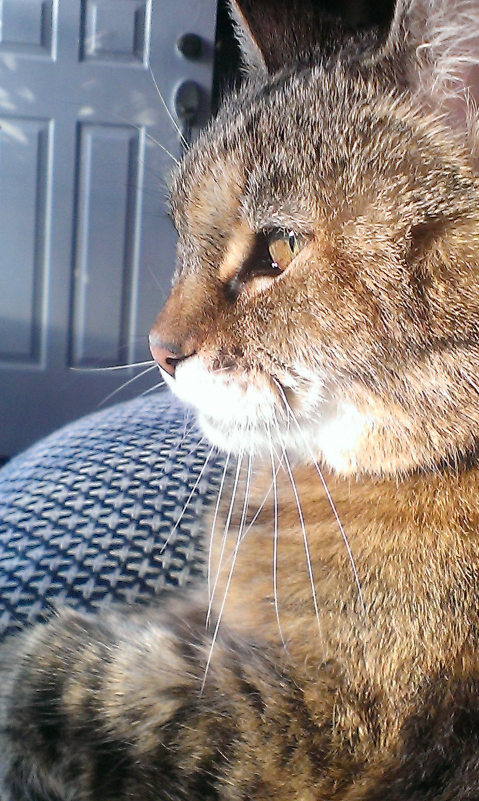 Mary Grace Soaking In The Rays.