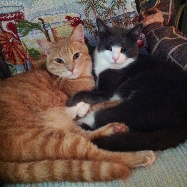 Brotherly Love