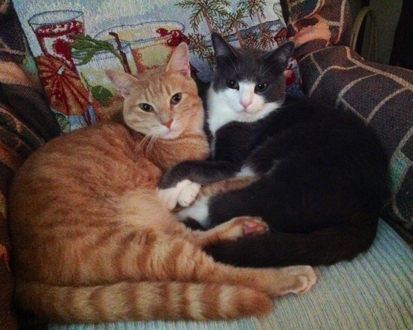 Brotherly Love