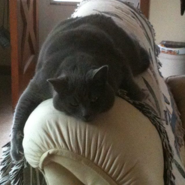 Jack