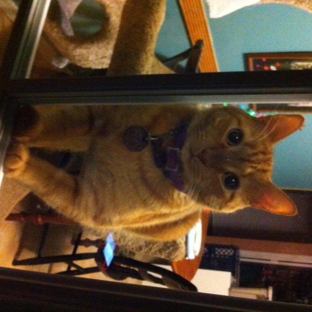 Can I Come Out?