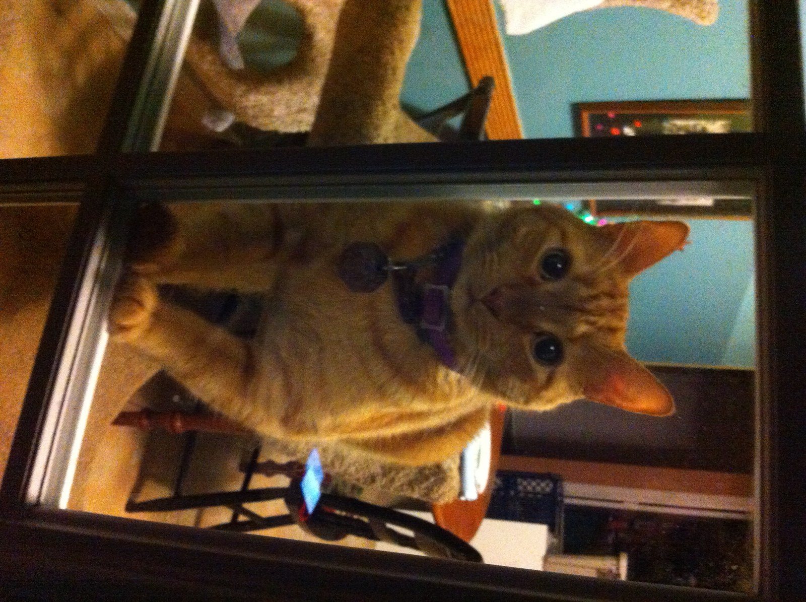 Can I Come Out?