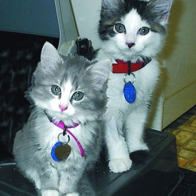 Sissy & Fred