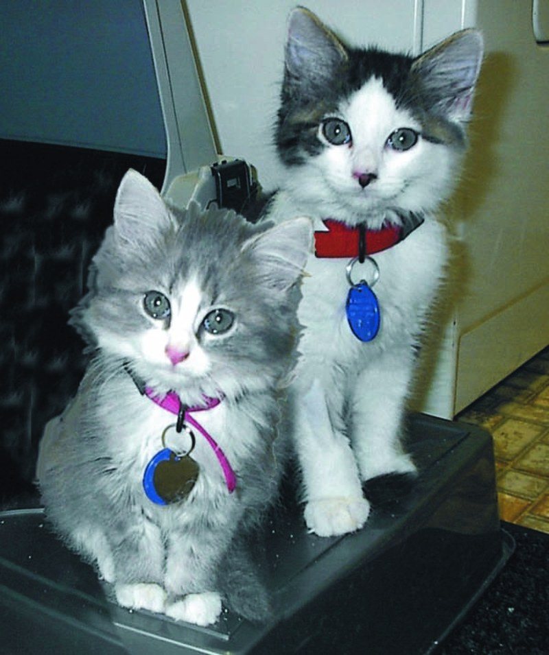 Sissy & Fred