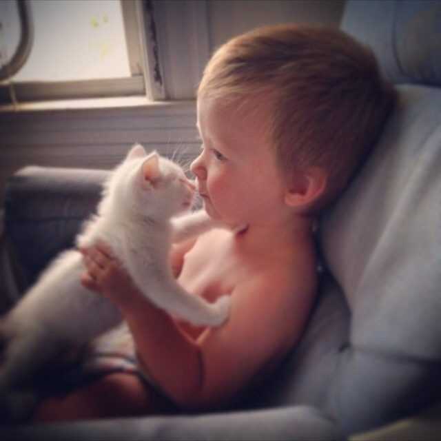 Love