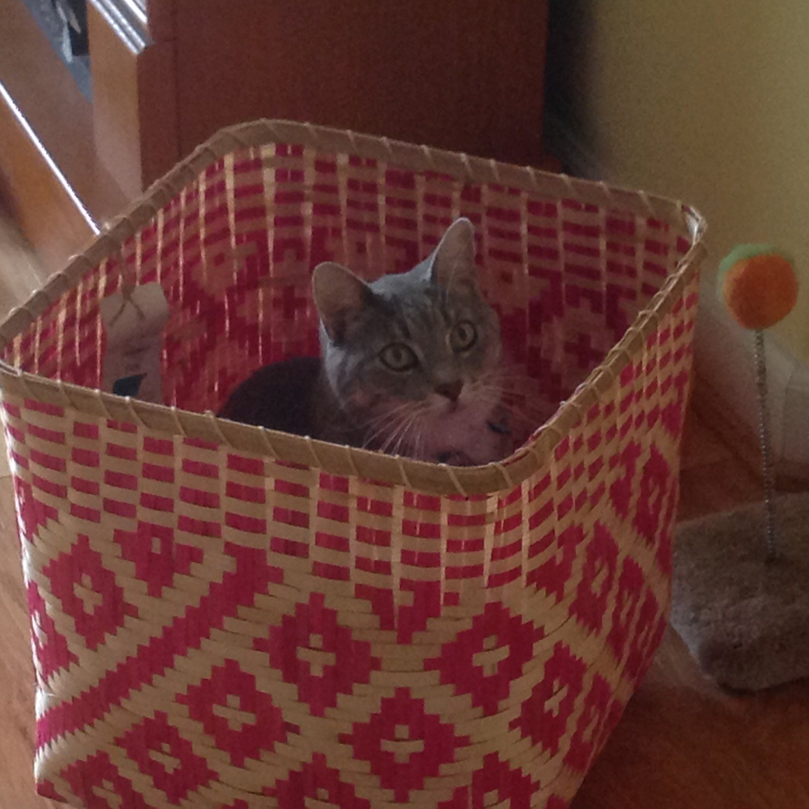 Sox In The Box
