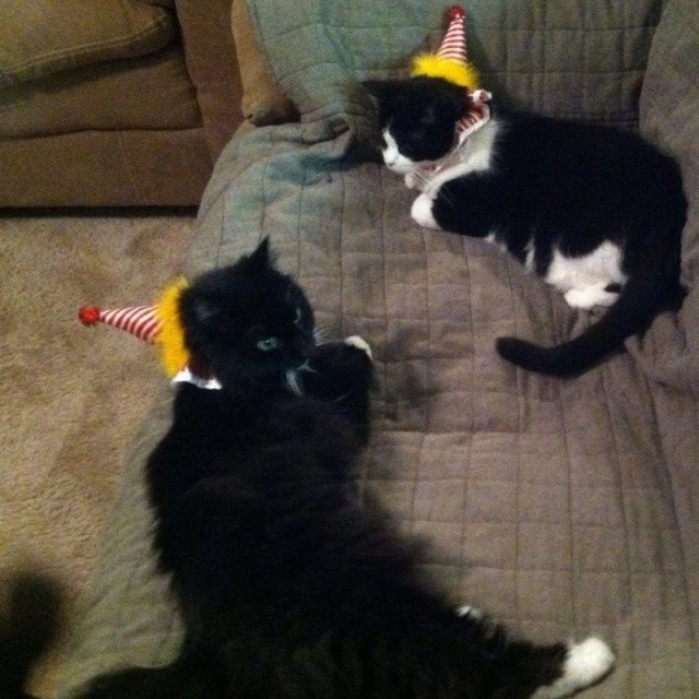 Just Clowning Around.