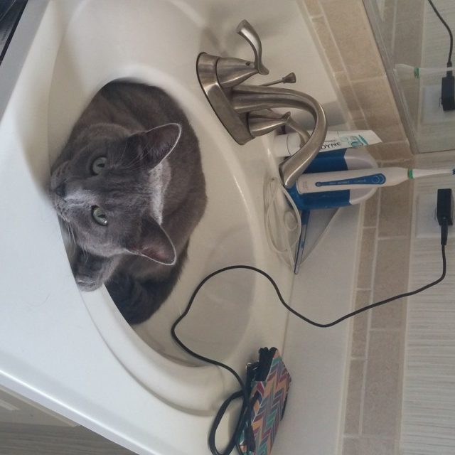 Violet Helping Mom Get Ready