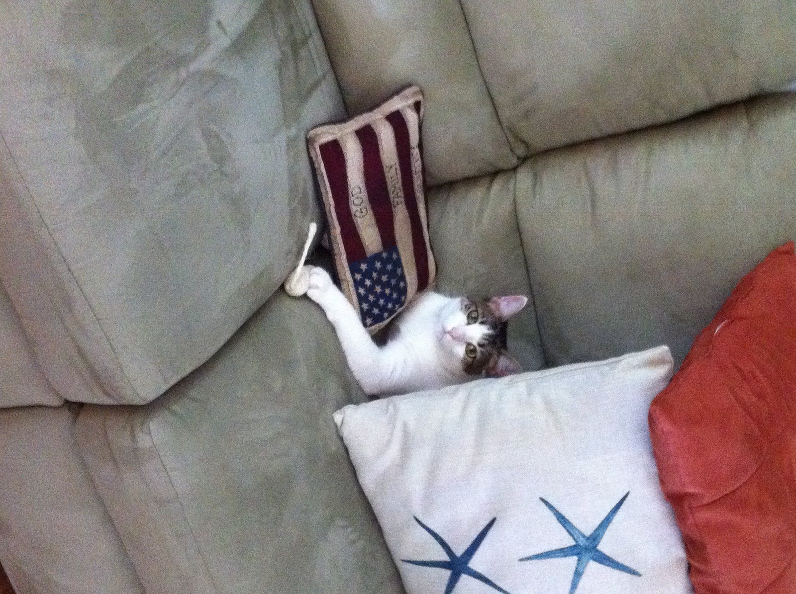 Daddy Made Me A "fort"!