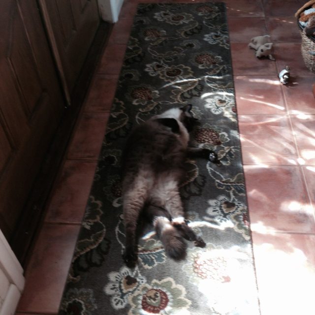Sunbathing