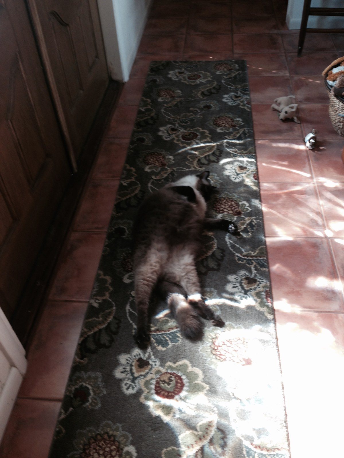 Sunbathing