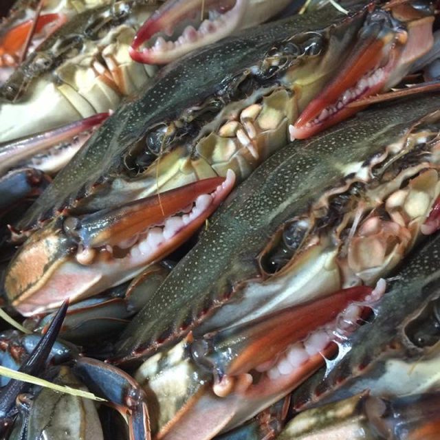 Fresh Soft Shell Crabs @ Maison Martinique Restaurant!