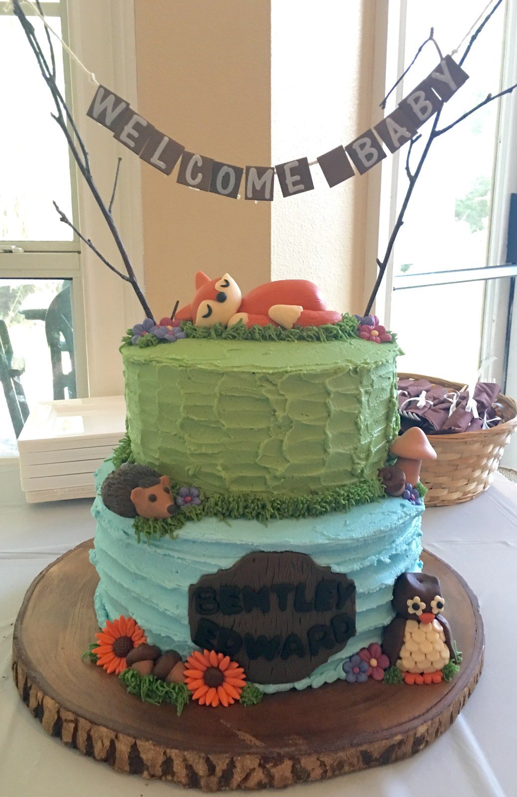 Woodland Baby Animal Cake
