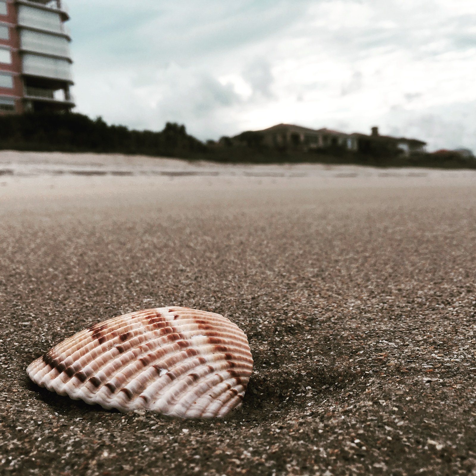 Beachy