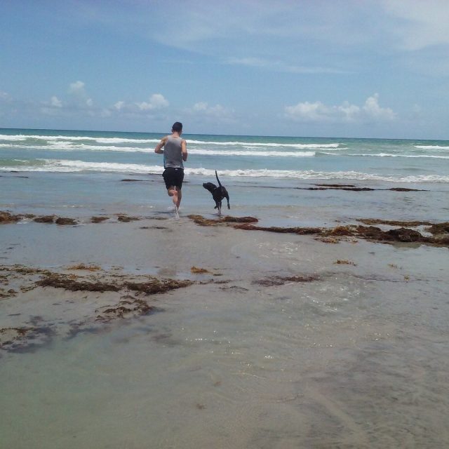 Dog Beach