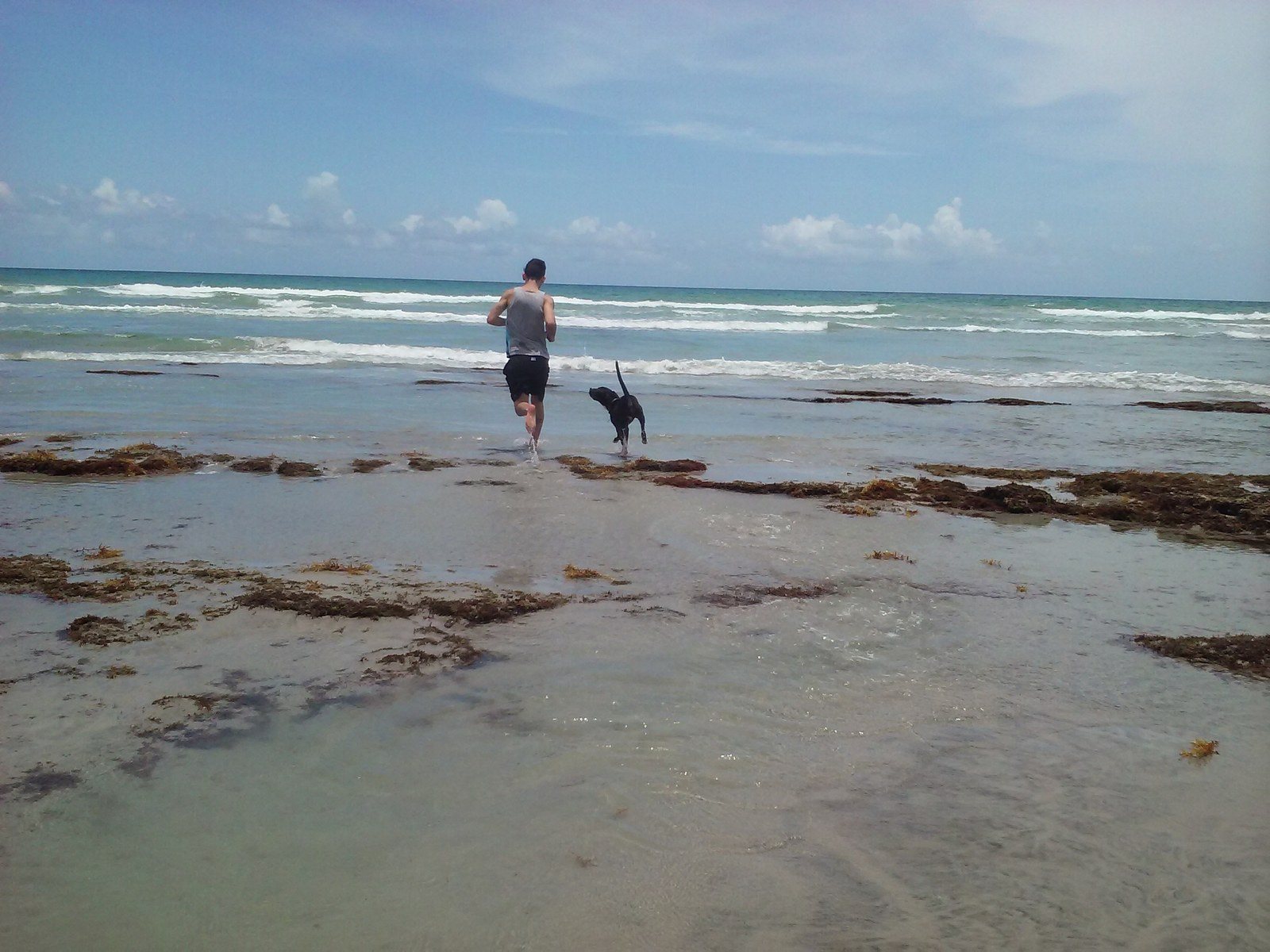 Dog Beach