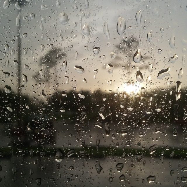 Raindrops